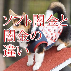 ソフト闇金とは？闇金との違いについて解説！